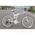 New Style MTB Folding Mountain Bike/Mountain Bicycle (FT-SDC-025)